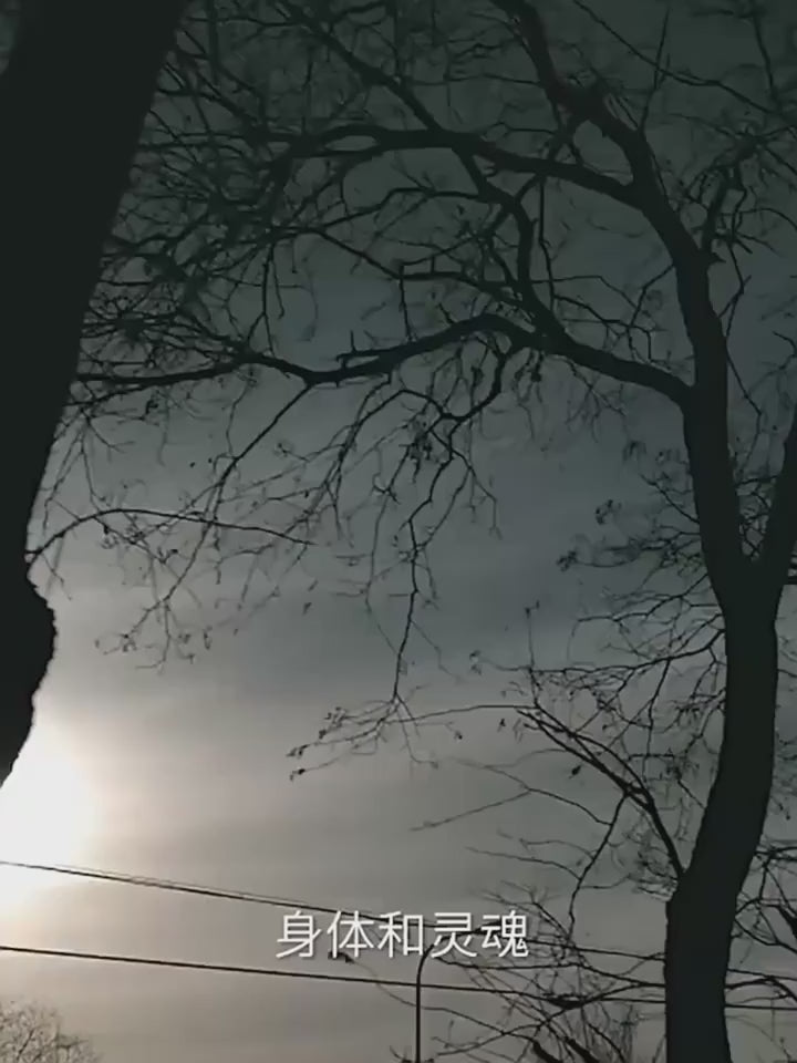 Car heating seat cushion, car winter seat, electric heating seat cushion, quick heating seat cushion, car 12V small car, car use